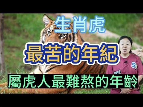 63年次屬虎|【屬虎年次】2024年屬虎年次大公開！揭秘虎年生肖者的年齡與。